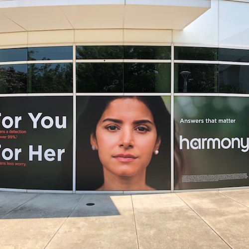 Window Graphics